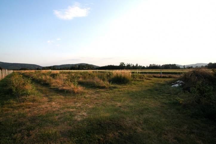 Dom Sprzedaż Biskupice Melsztyńskie 13